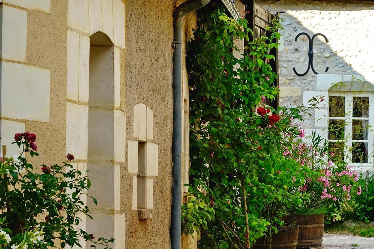 CerellesLe Moulin De La Planche住宿加早餐旅馆 外观 照片