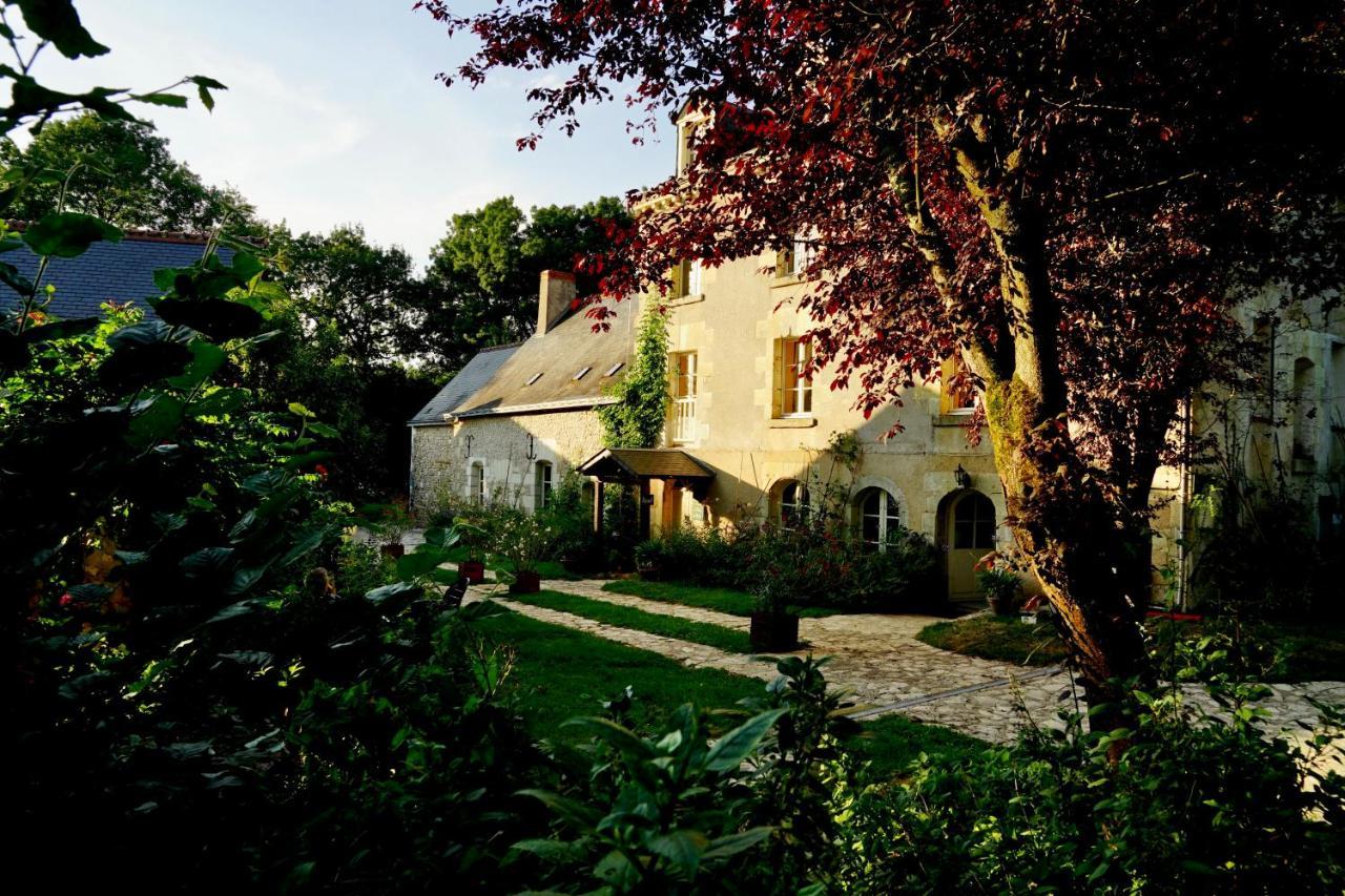 CerellesLe Moulin De La Planche住宿加早餐旅馆 外观 照片